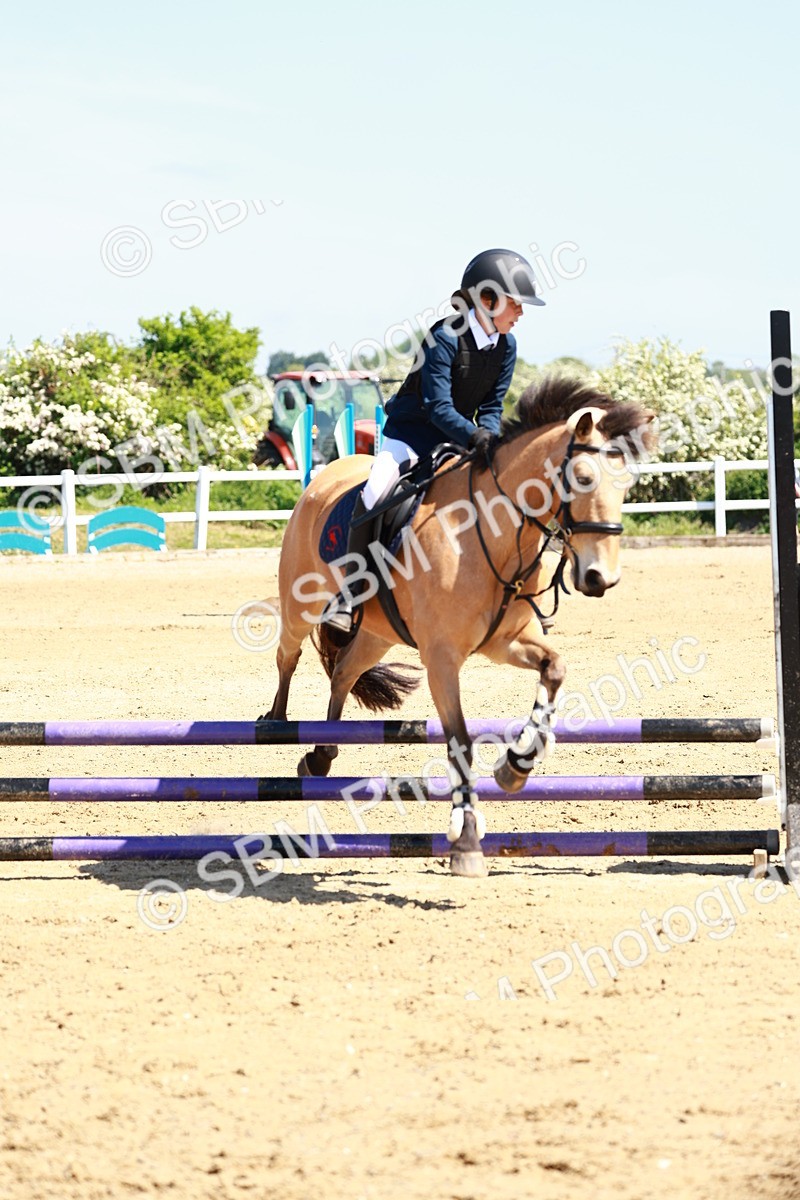 SBM_007580 - Class 3 - 60cm