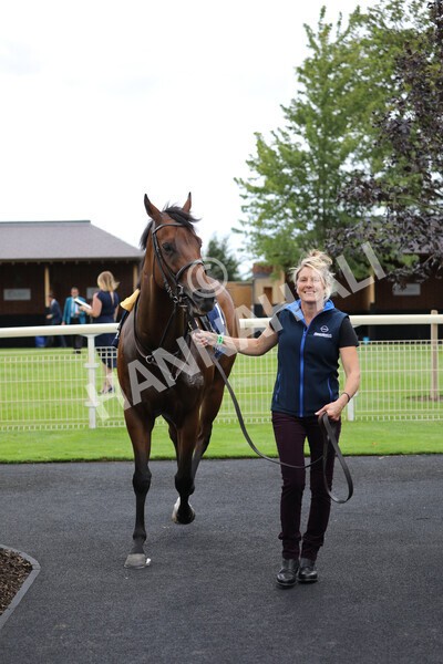 yr19082022r4-7 - Race 4 3.35pm Coolmore Wootton Bassett Nunthorpe Stakes (British Champion Series Race)