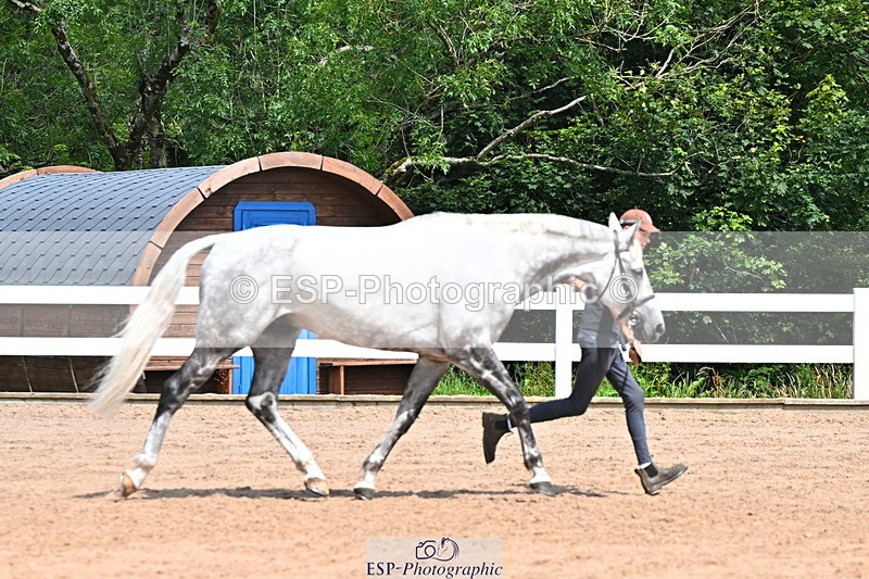 240718A-105252-01259 - Trot Up 12pm to 1pm