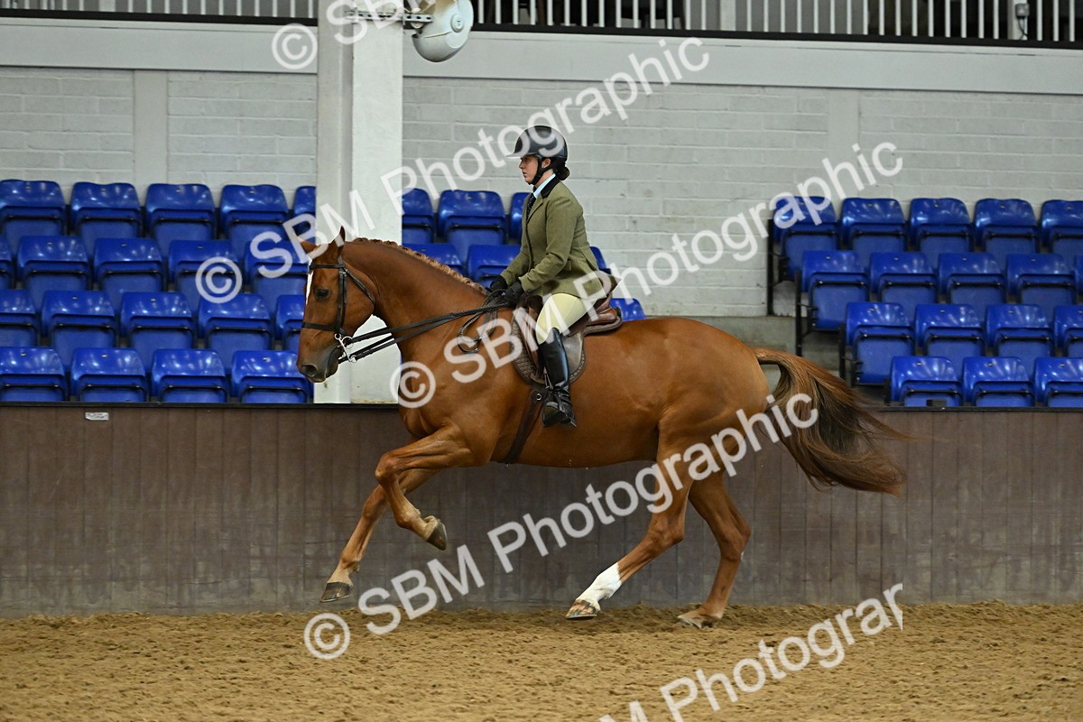 SBM_002090 - Class 23 - BSHA Ridden Show Hunter