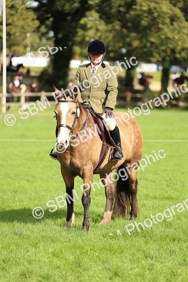 SBM_45551 - S33 - Working Hunter Pony