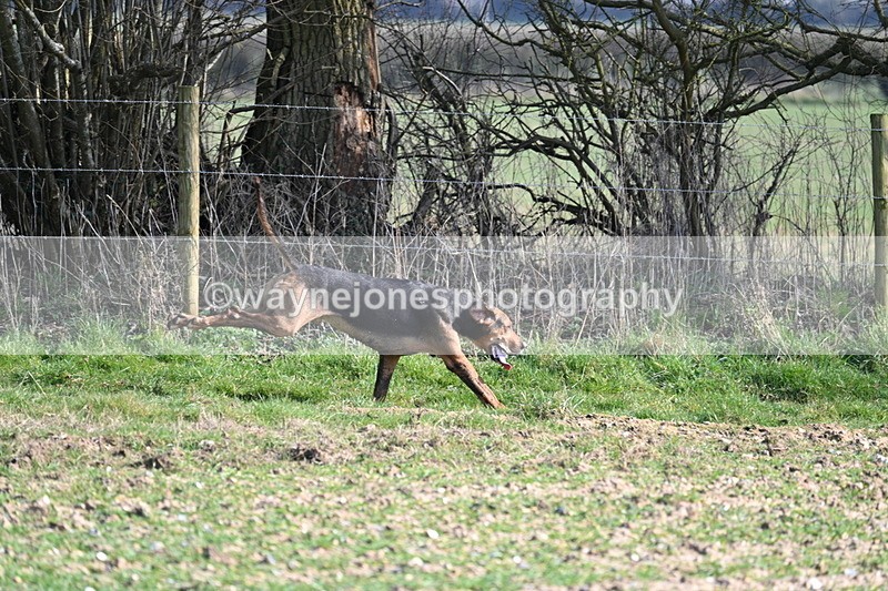 WJ7_5695 - Camera A