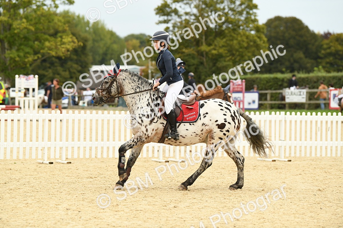 SBM_73092 - J16 - Junior Pony 75cm Championship