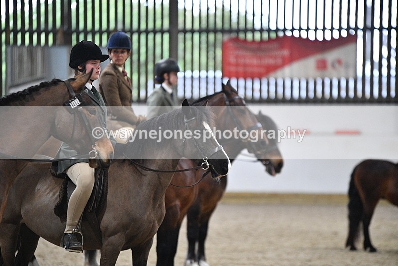 WJ5_8543 - Class 14 Novice Ridden/Rider