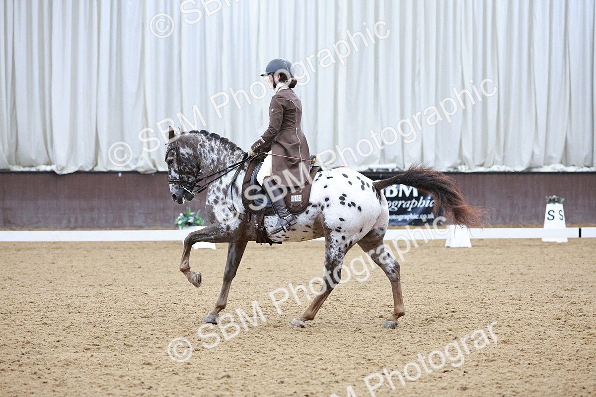 SBM_021387 - Class 14 - FEI Grand Prix - 17.40-18.34