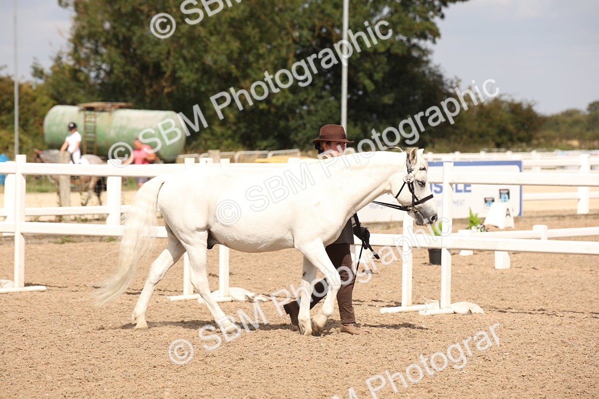 SBM_03741 - Class 19 Judge's Favourite