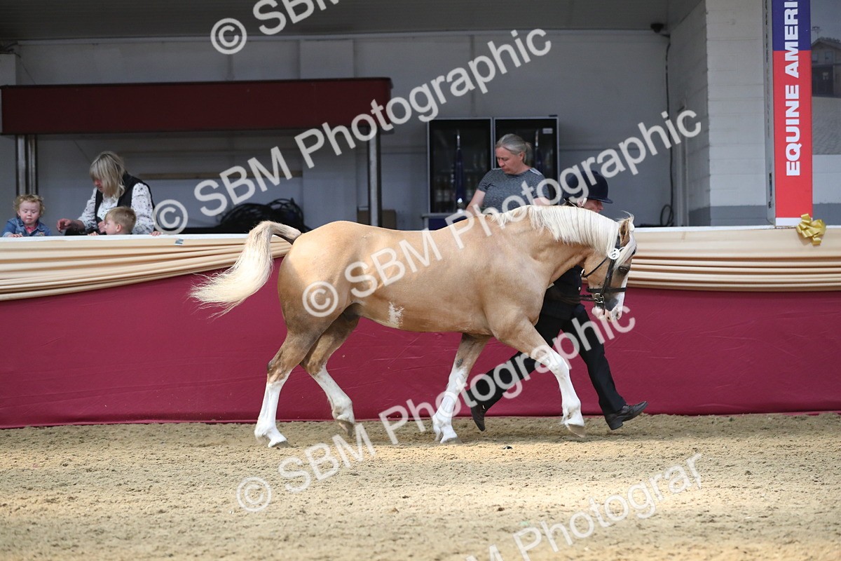 SBM_15238 - Class 501 M&M IH Supreme Final