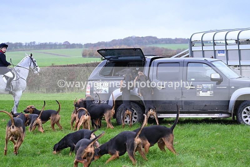 WJ7_8877 - Meet Staff & Hounds