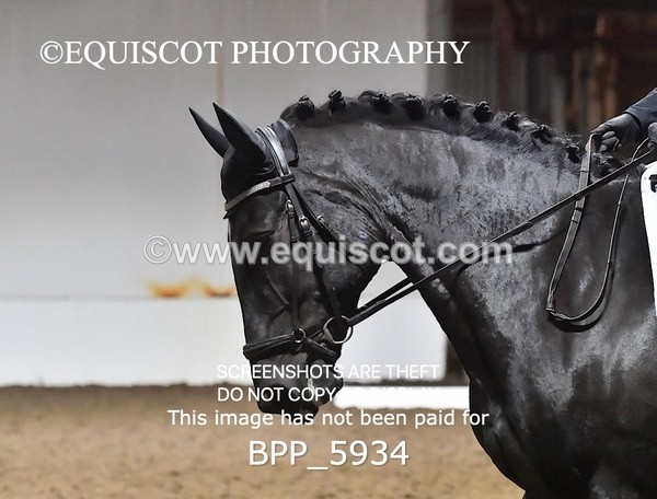 BPP_5934 - ELEM TEST 4