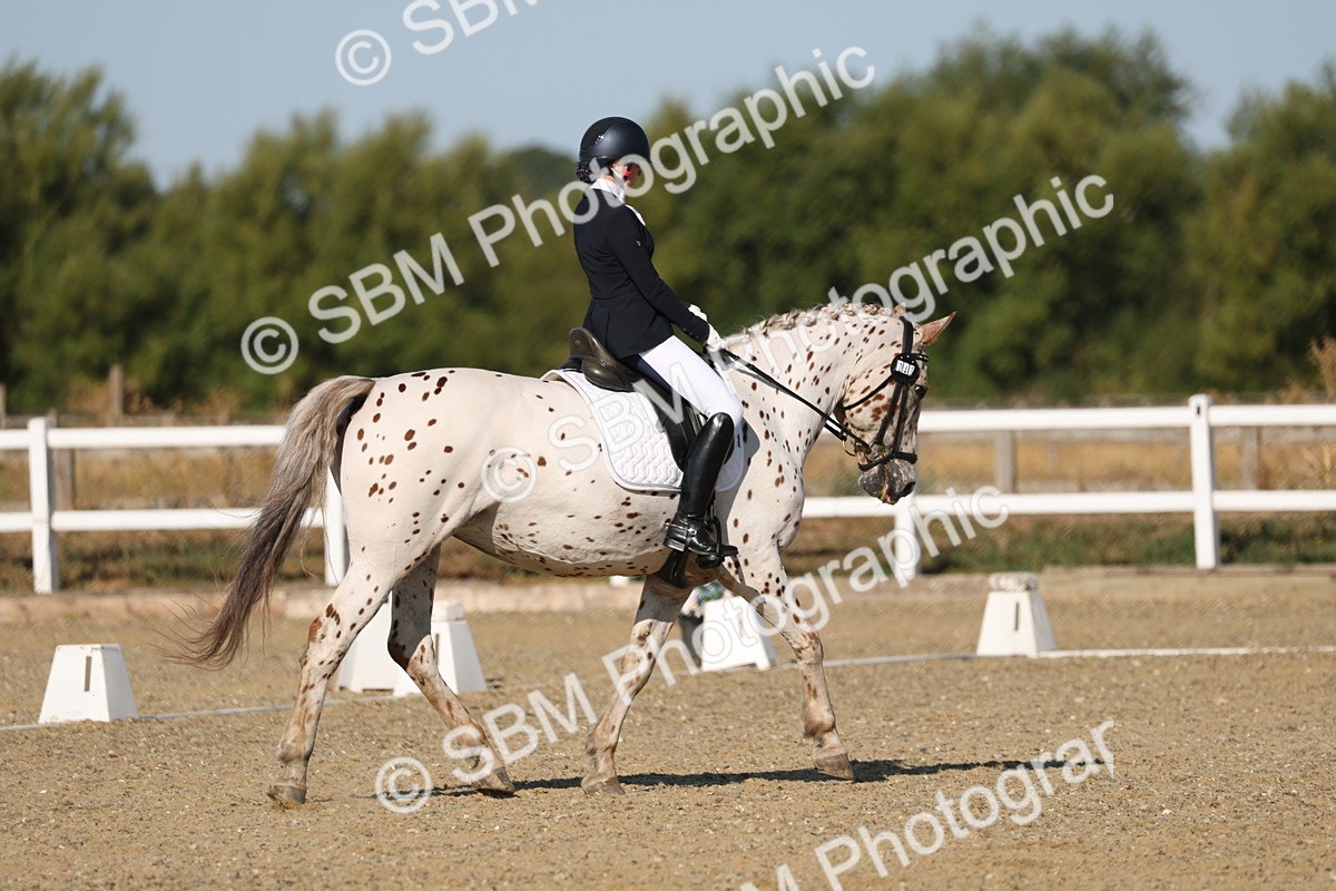 SBM_012669 - Class 1 - P5 Bronze 9.00.10.12