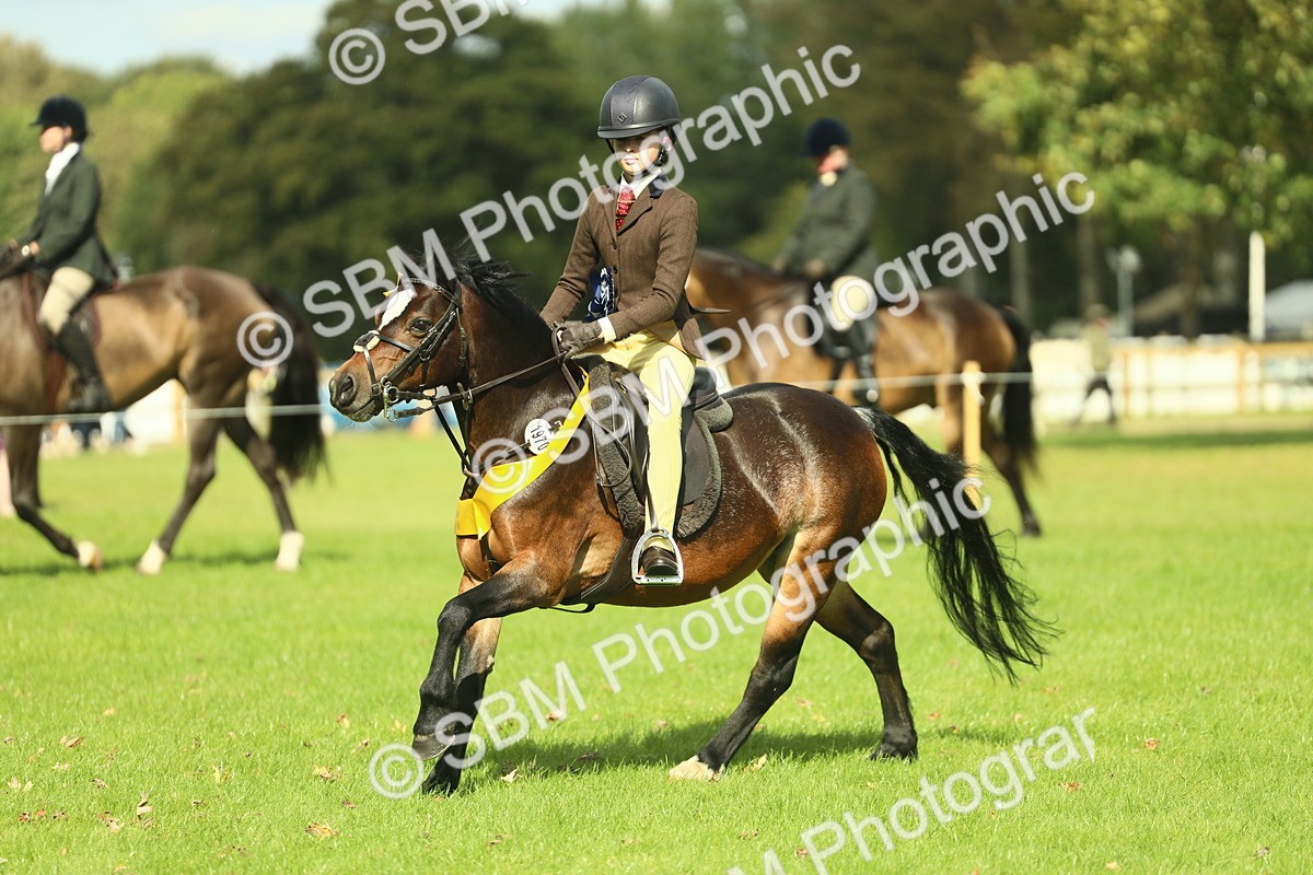 SBM_45041 - Working Hunter Pony Supreme Championship