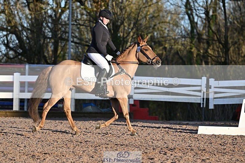 250125-090116-00003 - Dressage - CT Class 1 & 2 Intro 1