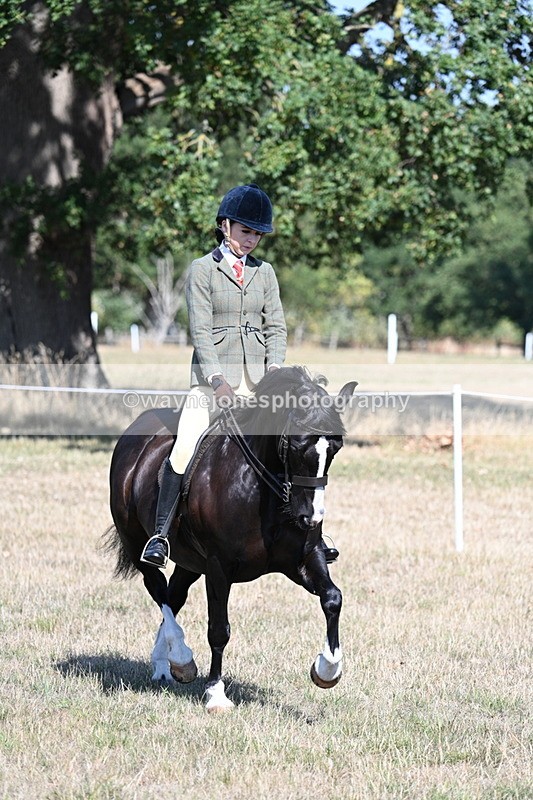WJ7_3672 - Class 9 Mountain & Moorland Ridden