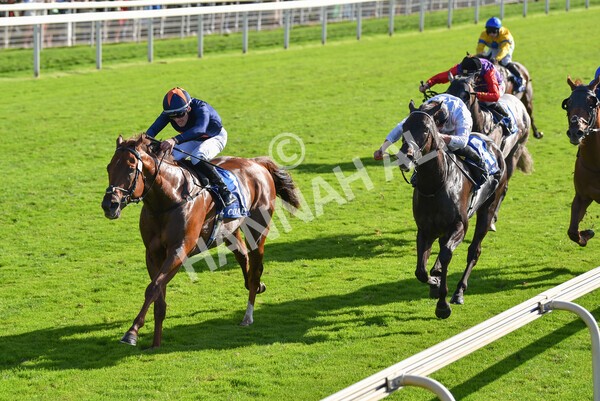 yr08102022r3-43 - Race 3 2.40pm The Coral 'Beaten-by-a-Length' Free Bet Handicap