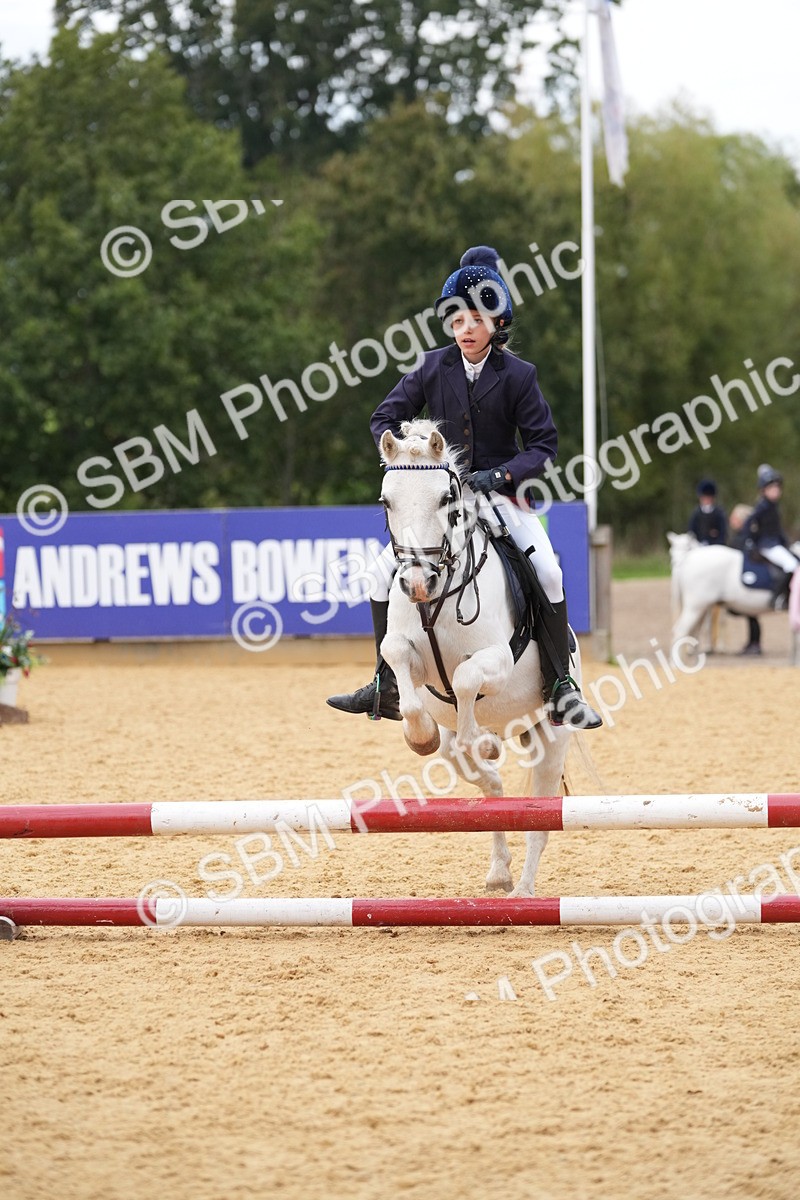 SBM_74816 - J4 - Mini Tour Junior Pony 45cm Championship