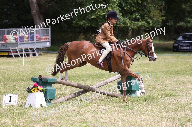 20260614-2823 - Class 22 - Open Working Hunter