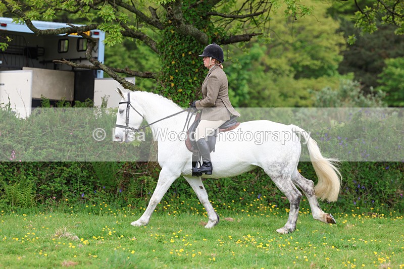 3E7A1265 - Class 7: Ridden Hunter Type