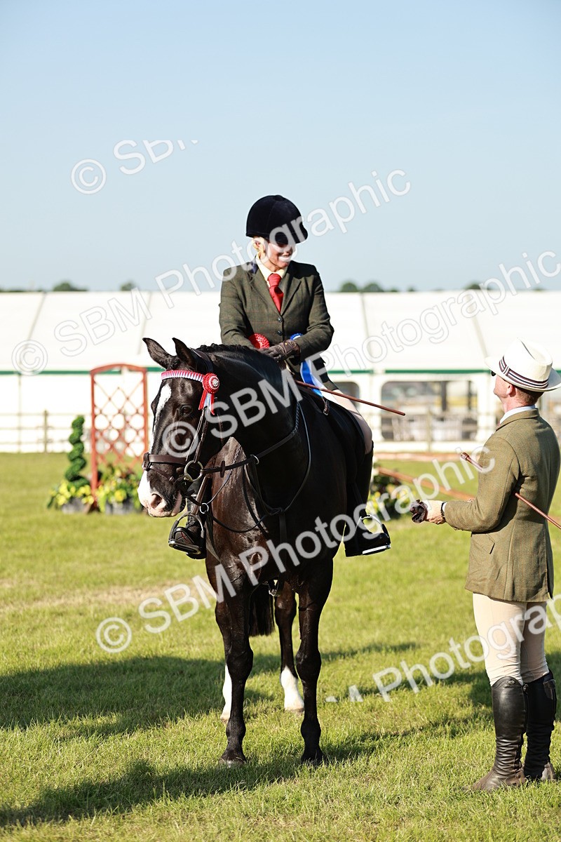 SBM_20127 - Class 115-116 - LIHS BSHA Rising Star Working Hunter & Show Horse