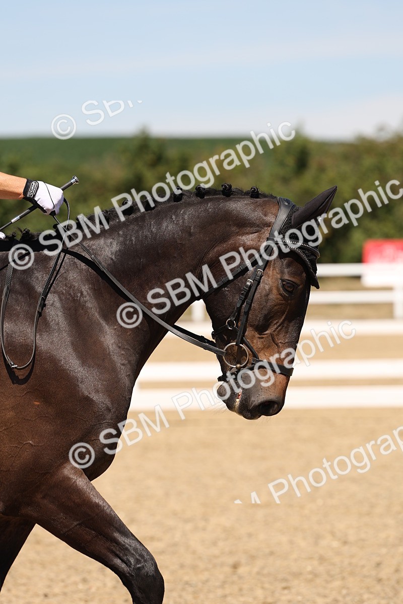 SBM_002729 - Elementary 4