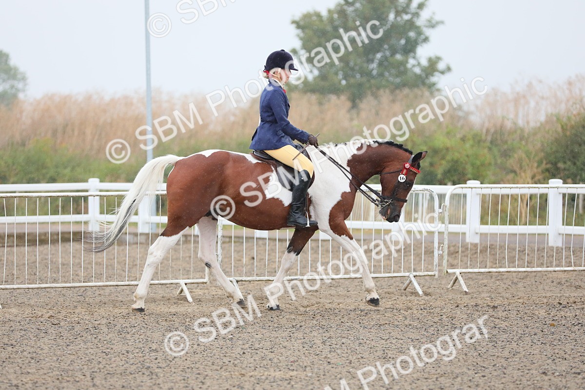 SBM_19858 - Class 801 - Ridden Veteran