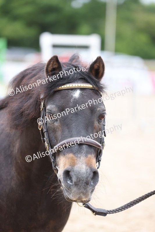 20250524-0752 - Class 7 - Veteran