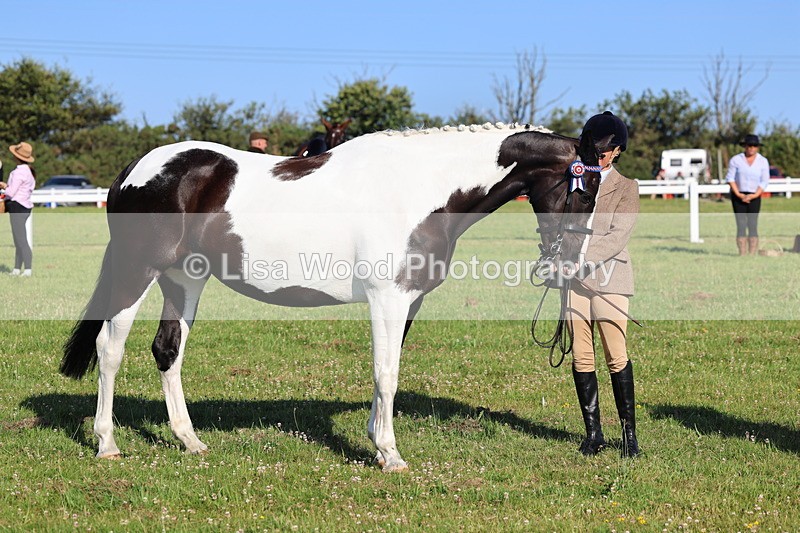 IMG_1333 - Class 27: Ridden Plaited Coloured Horse