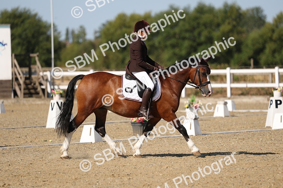 SBM_012782 - Class 1 - P5 Bronze 9.00.10.12
