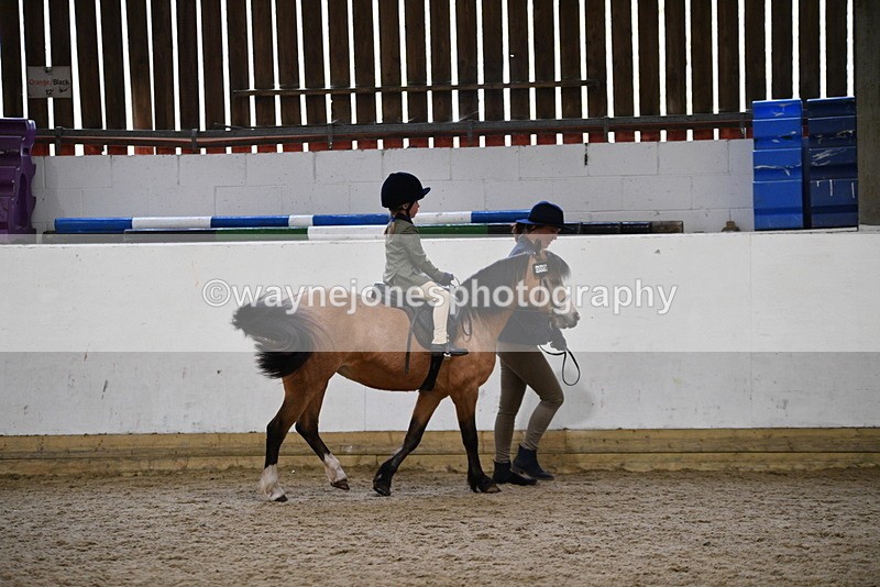 WJ5_6683 - Class 10 Childs Pony
