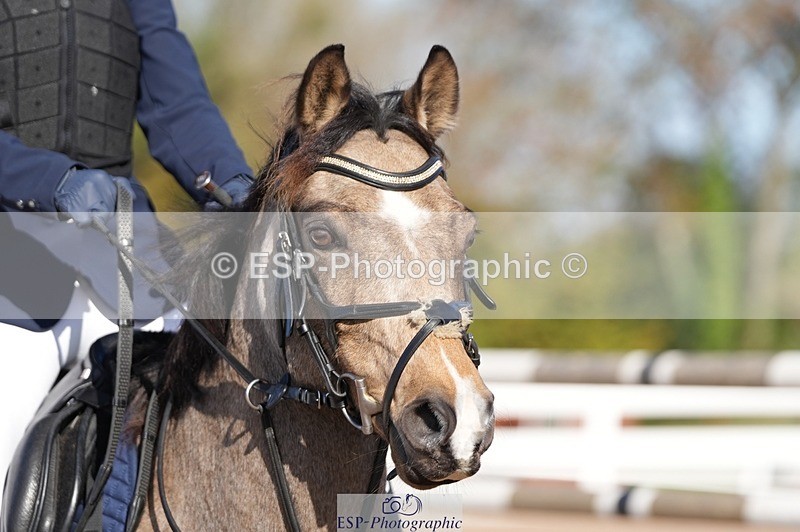 251025-122241-00349 - Cls 8 Pony Winter Pearl Champ Qualifier