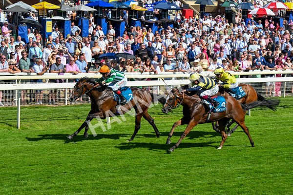 120725-Race 5-Amazing Journey-0424 - Race 5 4.15pm John Smith's Nursery Handicap
