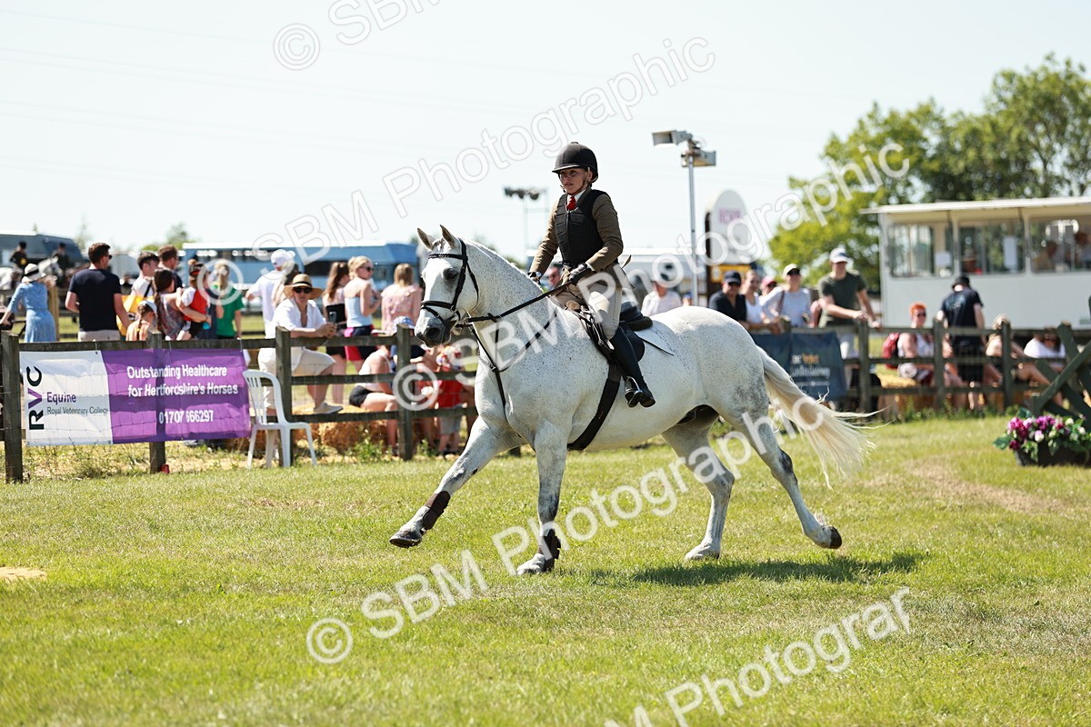 SBM_18298 - Class 112-113 - BSPS LIHS Working Sports Pony