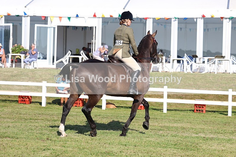 3E7A5570 - Class 2: Rising Star Large Hack/Riding Horse