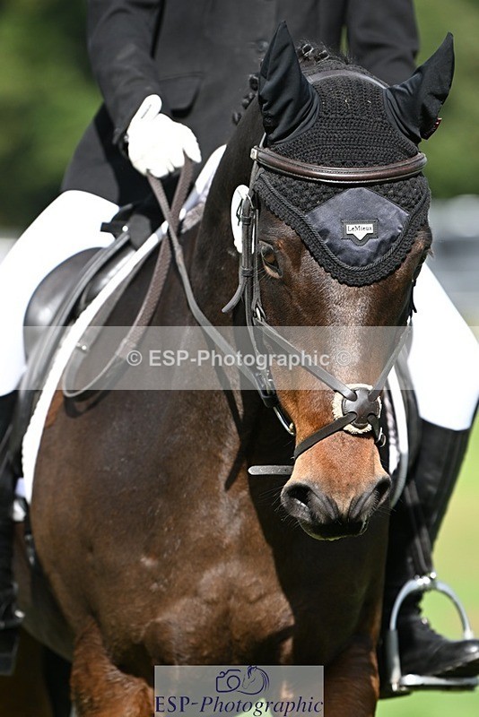 231020-140512-10546 - 494-WEST.FIELD.REBEL-Laura.Bilham-DR