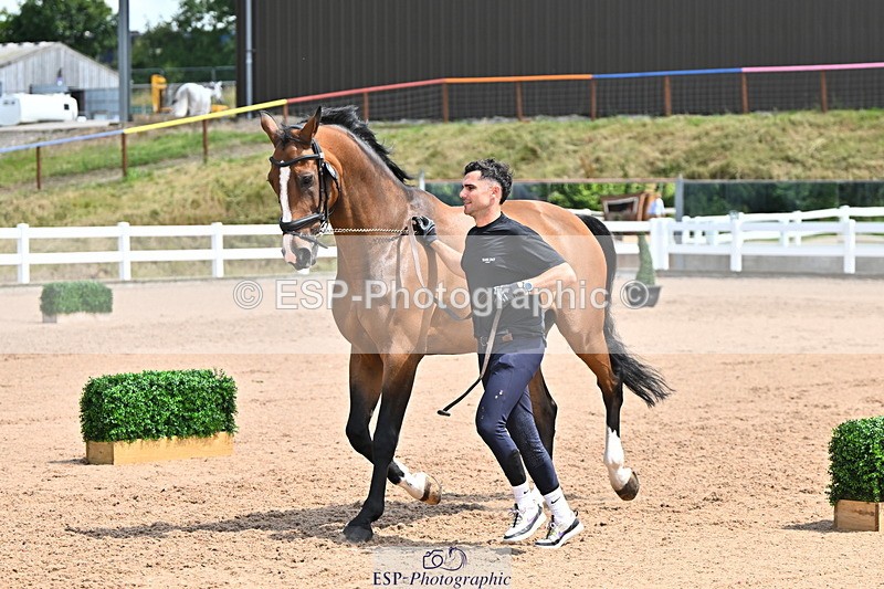 240718A-105302-01471 - Trot Up 12pm to 1pm