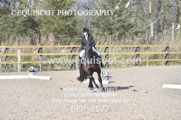 BPP_8577 - PRELIM 4
