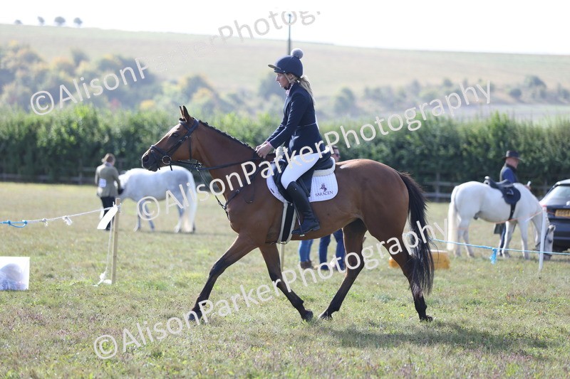 20250831-0866 - Class 14 - Ex Racehorse
