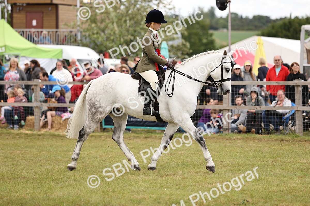 SBM_14835 - Class 88-89 - LIHS BSHA Rising Star of Ridden Hunter Type