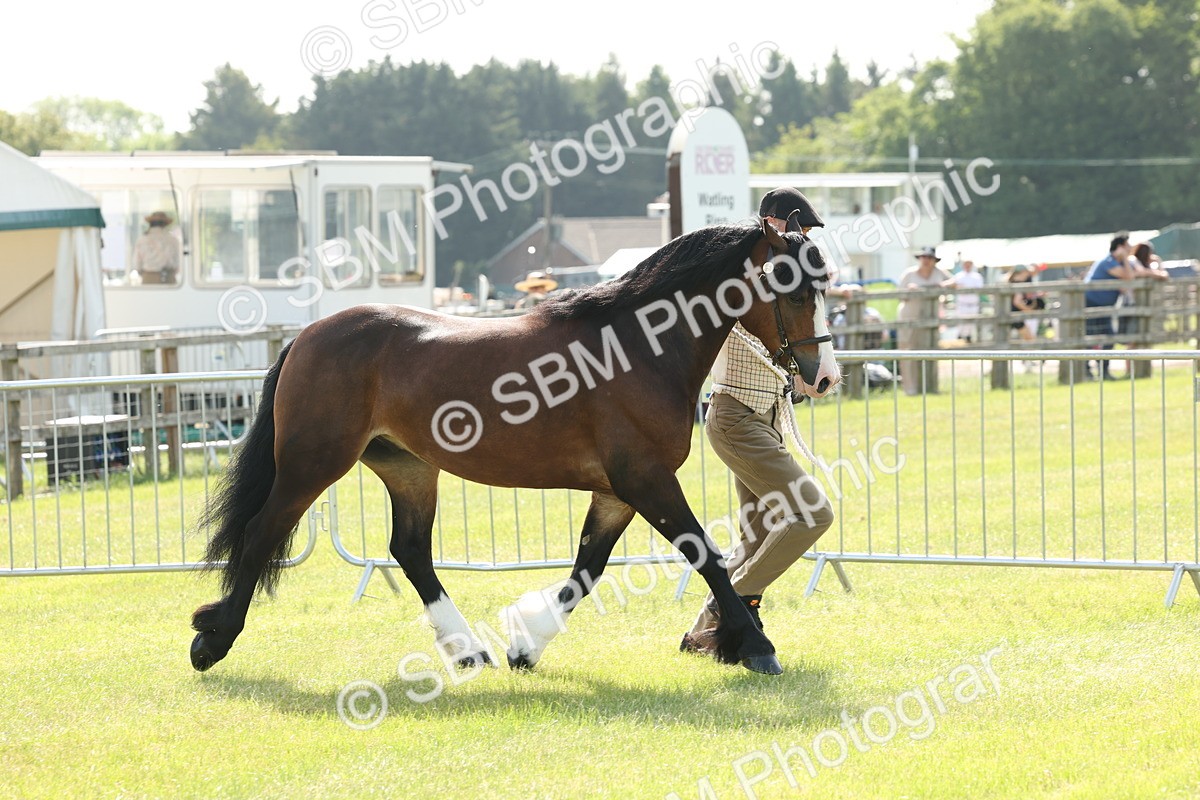 SBM_02060