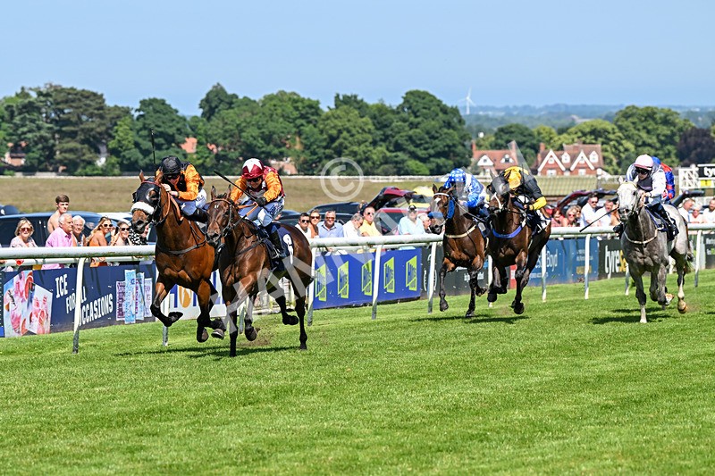 250624-Race 4-Lincoln Rockstar-5616 - Race 4