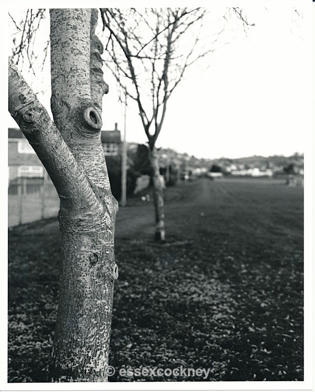 benfleet park
