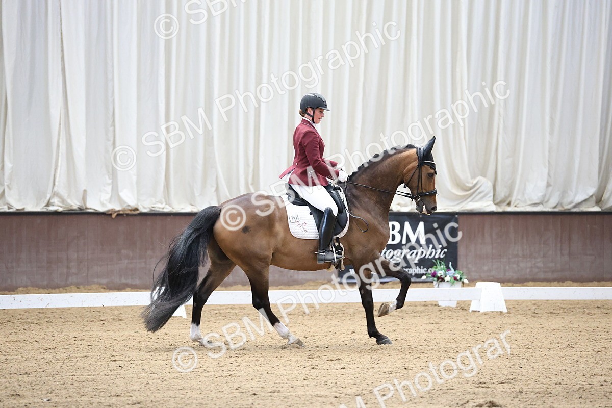 SBM_002165 - Class 5 - Novice 6 Gold - 9.00-10.10
