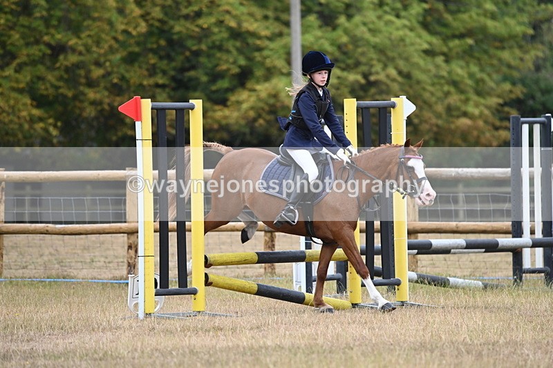 WJ6_0156 - Class 13 Novice Jumping 60cm