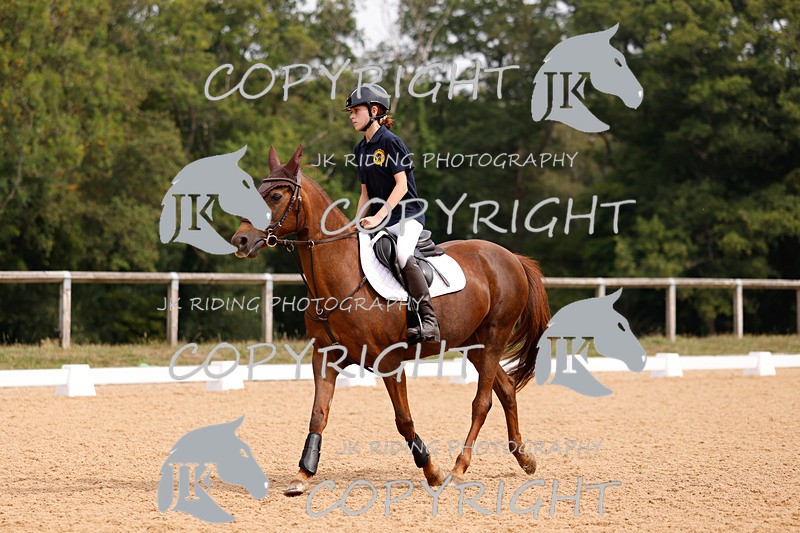 _R6A2490 - Dressage Morning