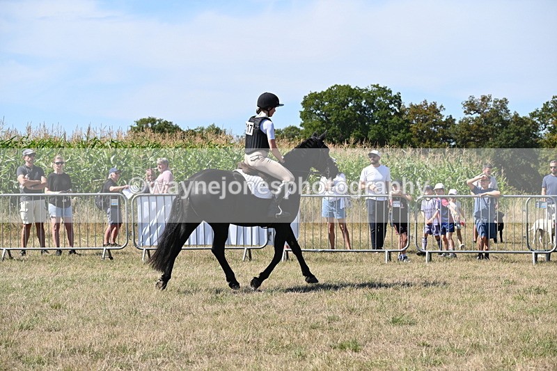WJ6_8329 - Class 37a Best Loan Pony Ridden