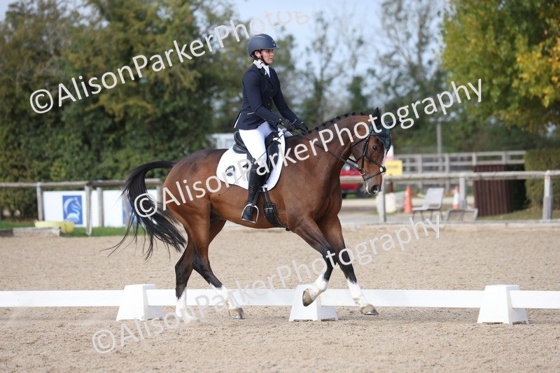 20261010-0668 - Class 6 - Novice 2