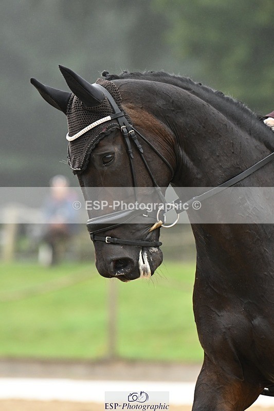 240811-095447-04900 - 148-Sophia.Marston-Solitaire.ll