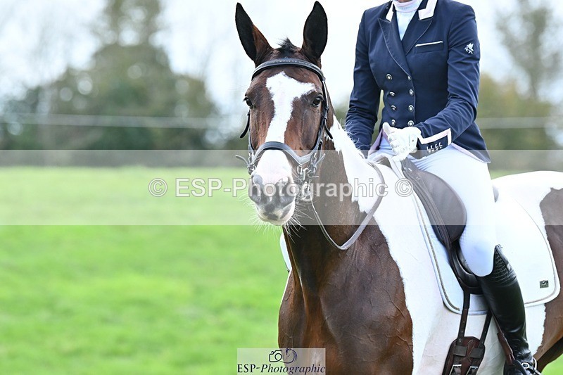 231020-145527-11029 - 669-FOXRIDGE.HIGH.JINX-Claire.Deuten-DR