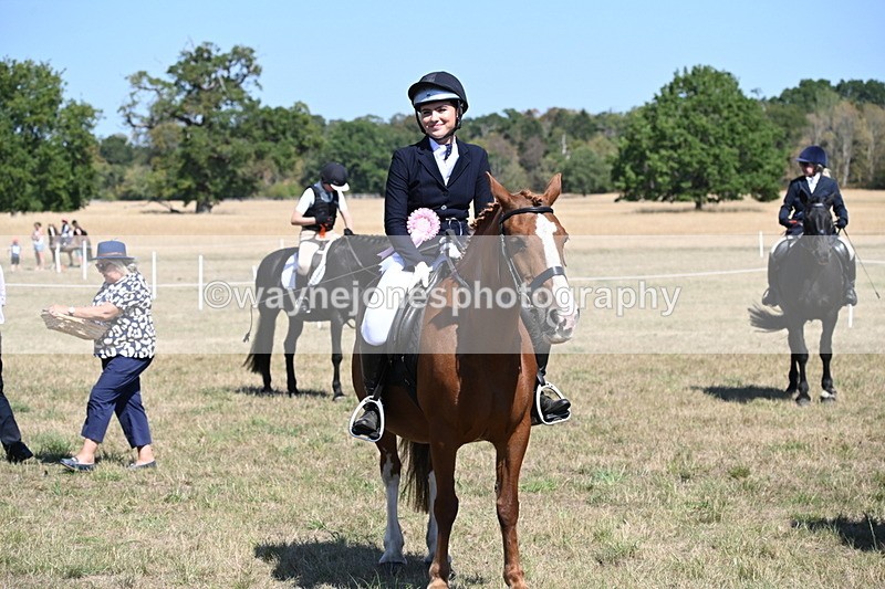 WJ6_8509 - Class 37a Best Loan Pony Ridden