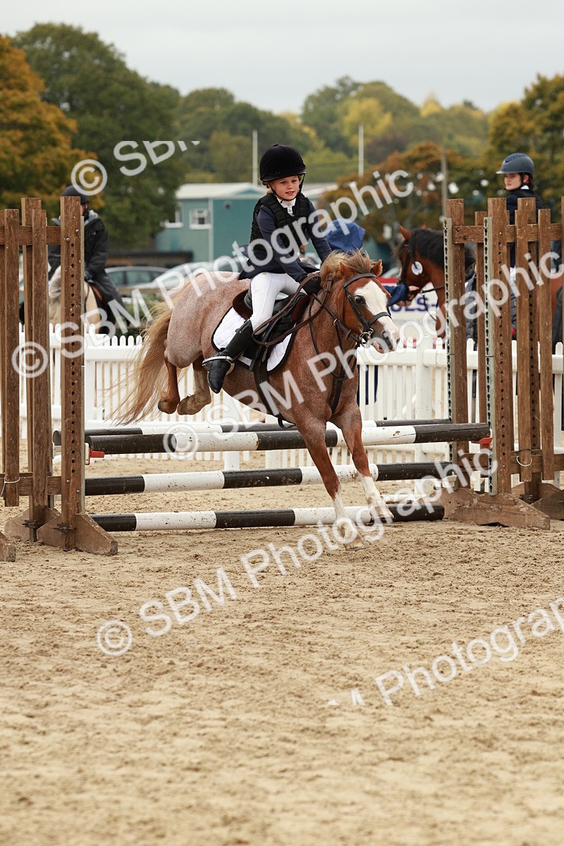 SBM_69162 - J13 - Junior Pony 60cm Championship