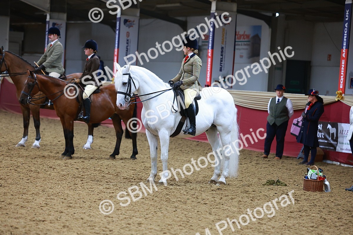SBM_07735 - Class 101 - HOYS Veteran Qualifier - Ridden Diamond